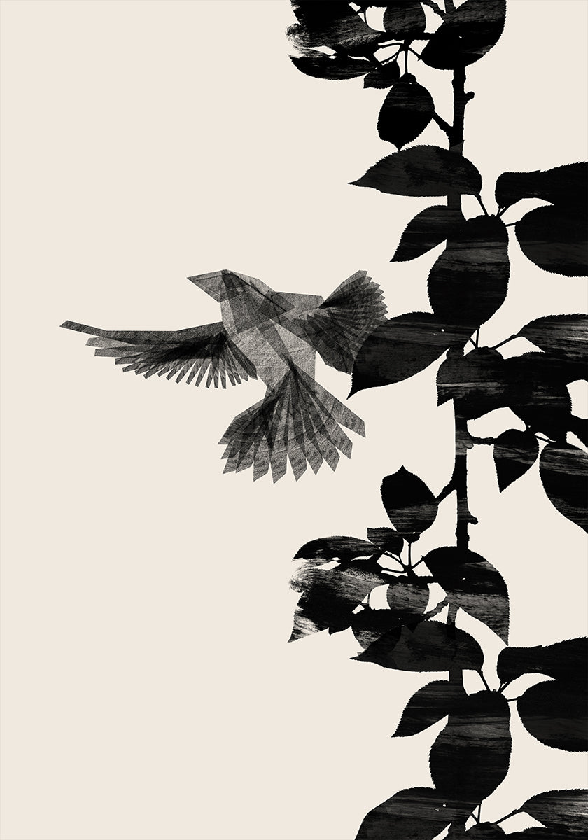 Bird Botanical a 20x30 Poster