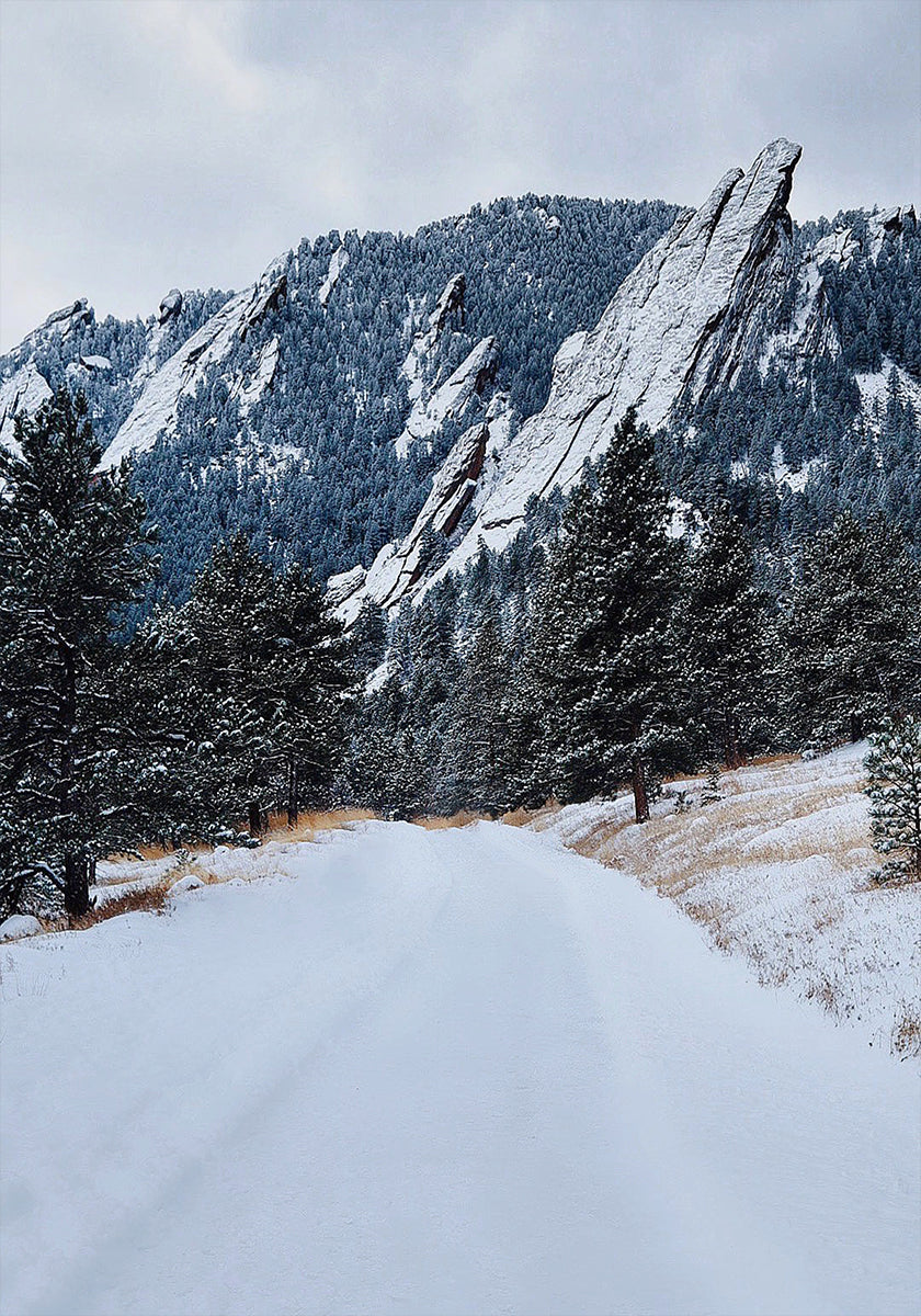Frozen Flatiron Poster