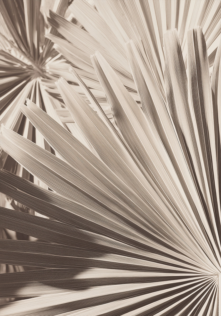 Abstract Palm Leaf Art Poster