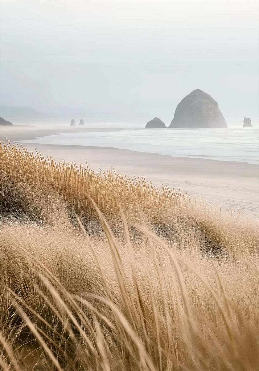 Misty Sea with Beach Grass Poster