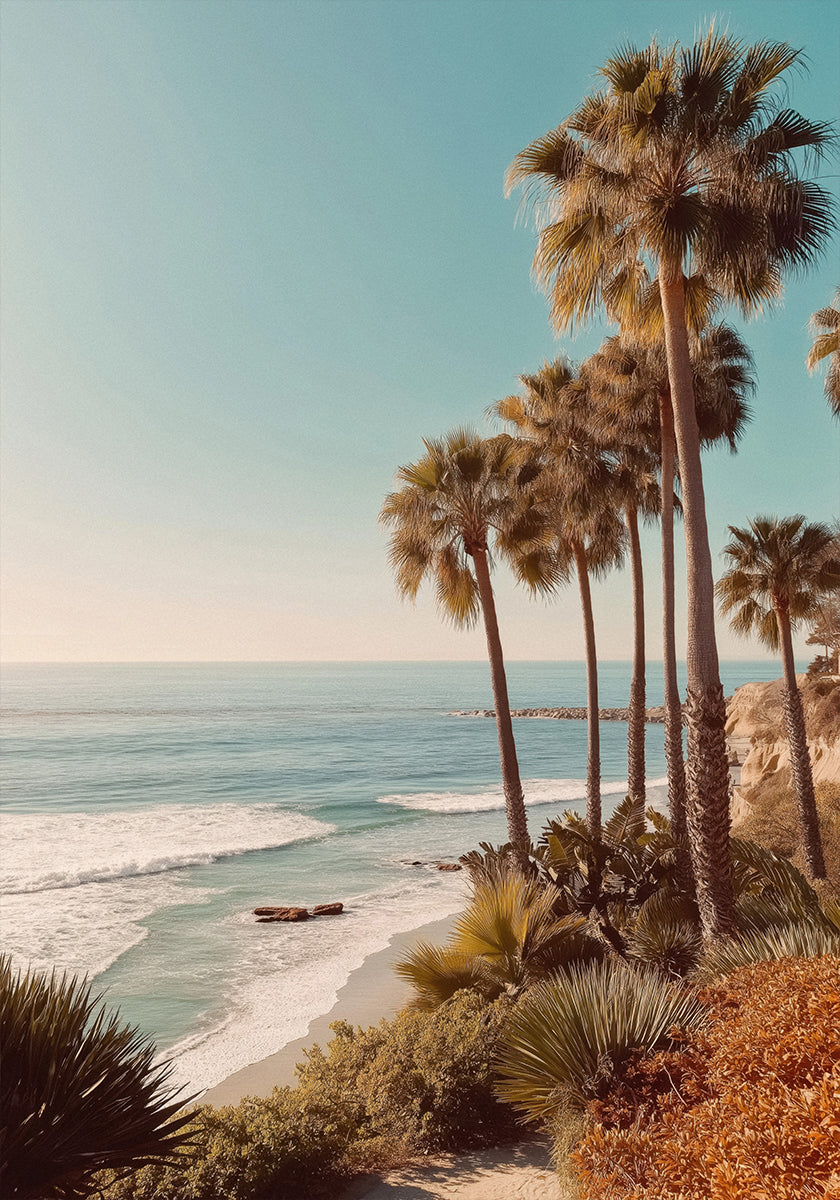 Palm Trees with Blue Sky Poster