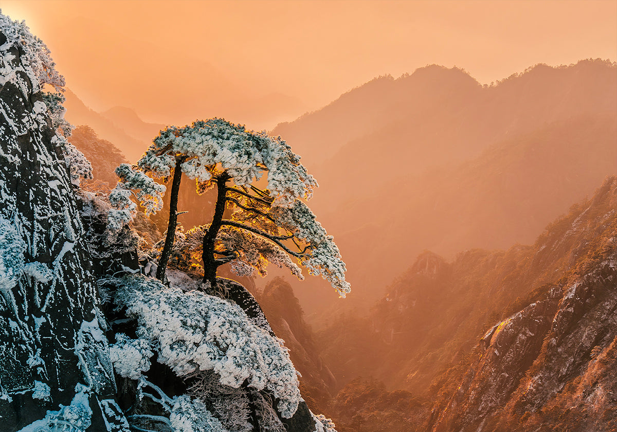 Resilience on the Edge Poster