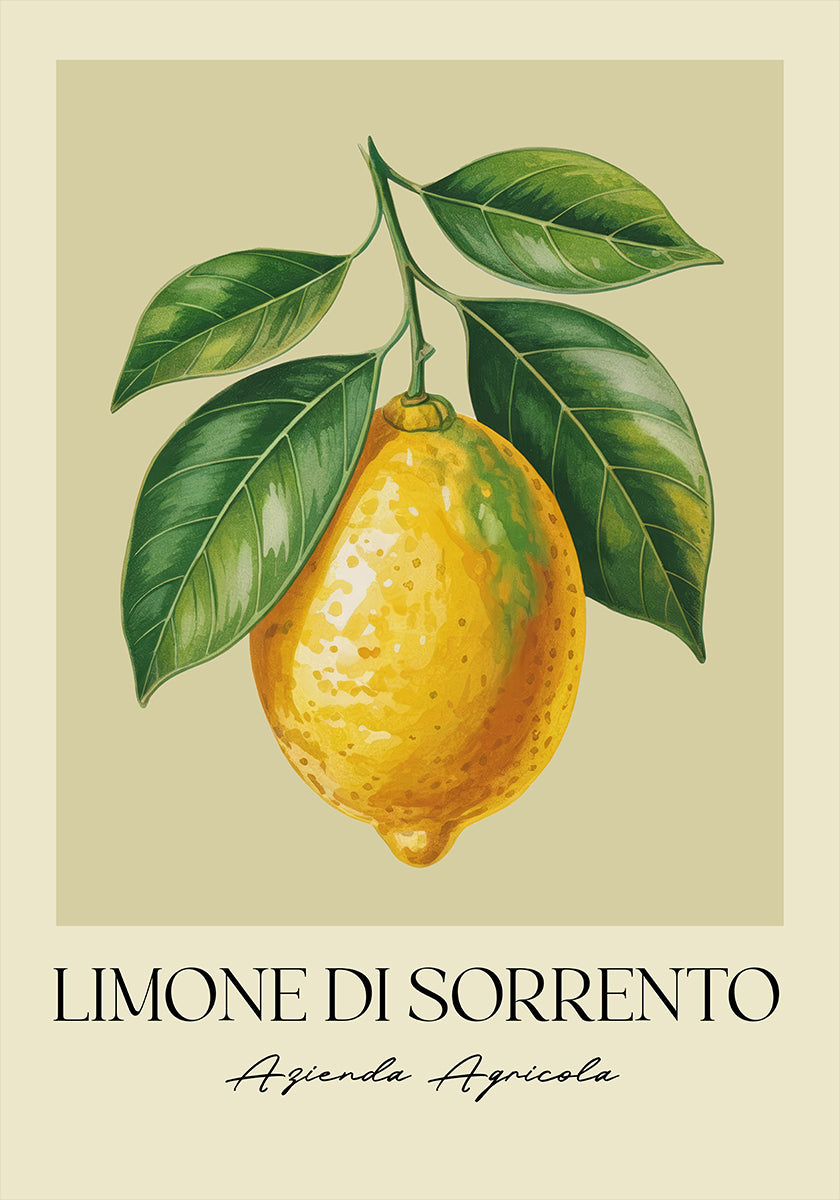 Limone Di Sorrento Poster