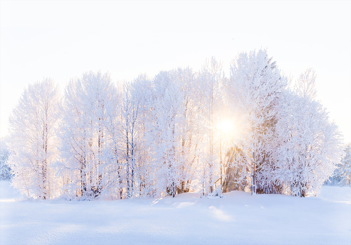 The light returns Poster