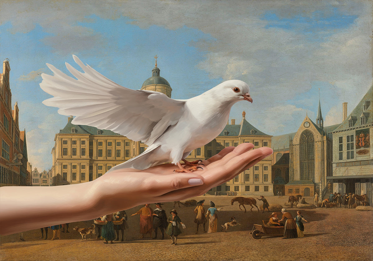 A Dove In Amsterdam Poster