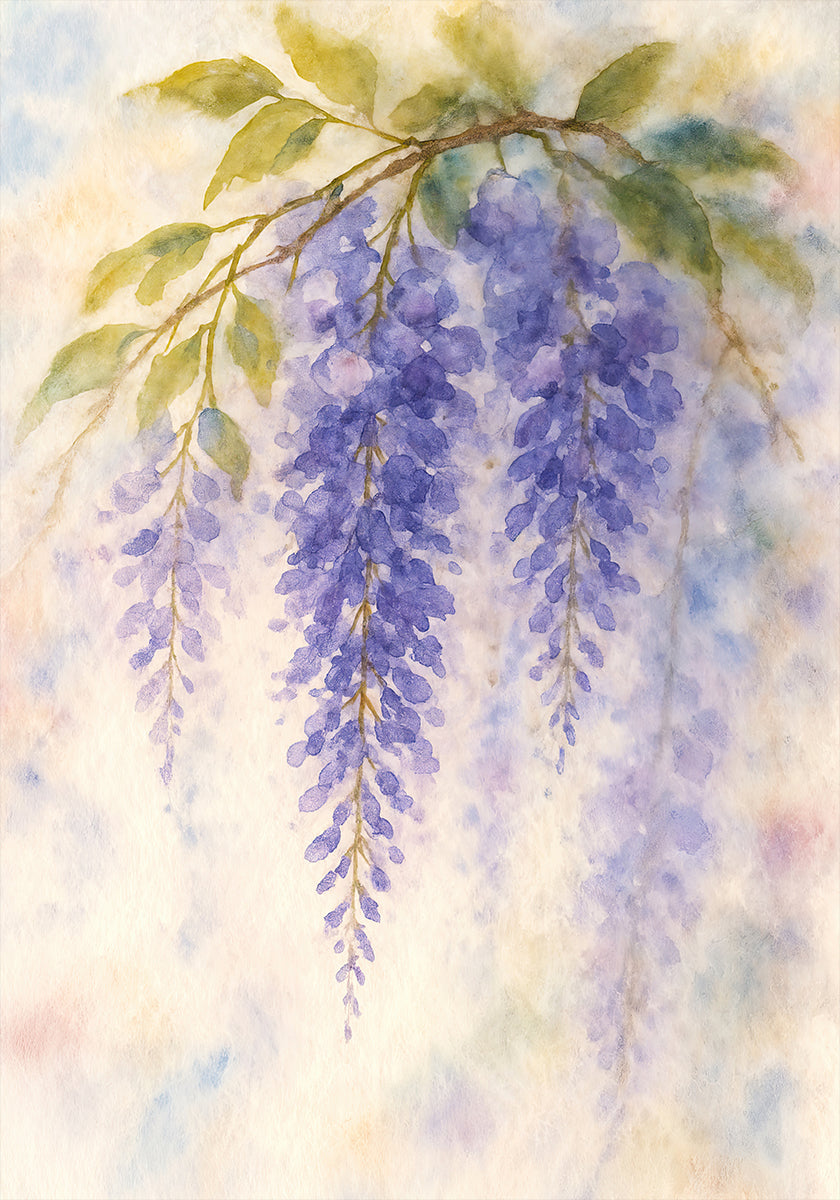 Hanging Wisteria In Soft Pastel Colours Poster