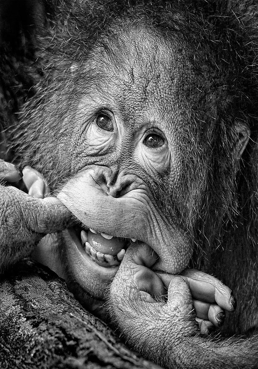 Big Smile.....please Poster