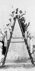 Women on Ladder Plakat - Posterbox.no