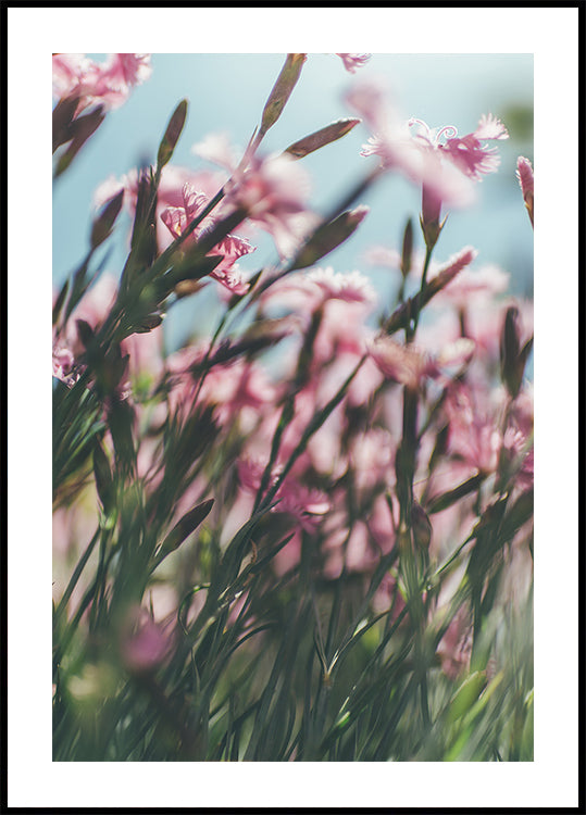 A close-up view of a field of pink flowers with green stems, creating a vibrant and natural scene.