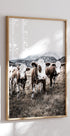 Cattle in Field Plakat - Posterbox.no