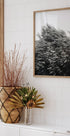Bush of Plants Plakat - Posterbox.no
