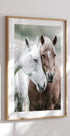Wild Horses Close Up Plakat - Posterbox.no