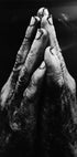 Hardworking Hands Plakat - Posterbox.no