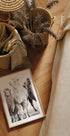 Camels in the Desert Plakat - Posterbox.no