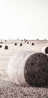 Rustic Hay Bale Plakat - Posterbox.no