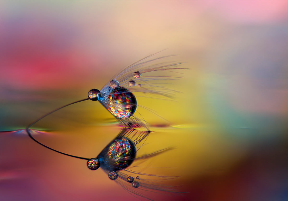 Colorize the darkness Poster