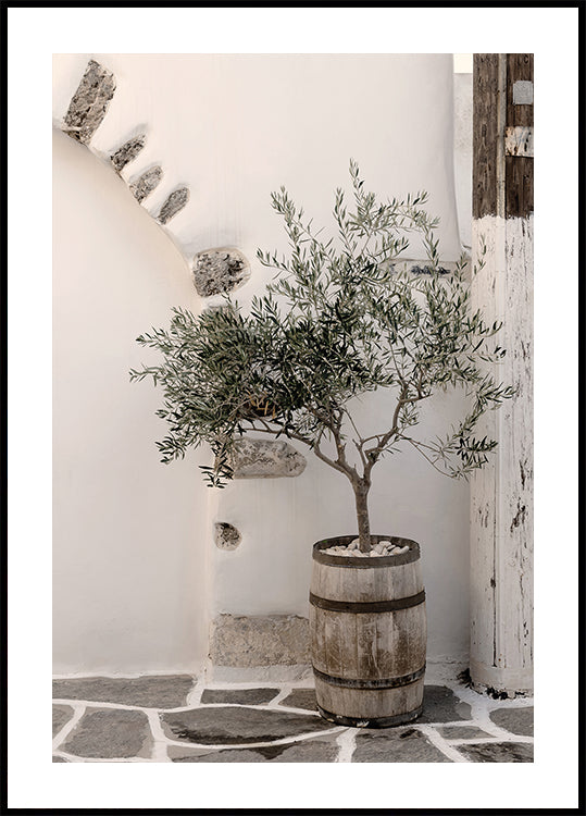 a small olive tree in a wooden barrel