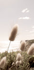 Soft Grass on Mountain Plakat - Posterbox.no