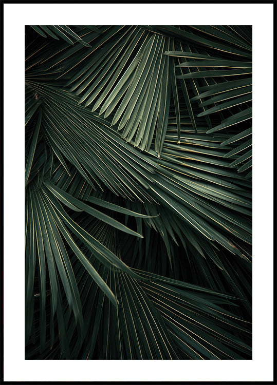 a close up of a palm tree leaves