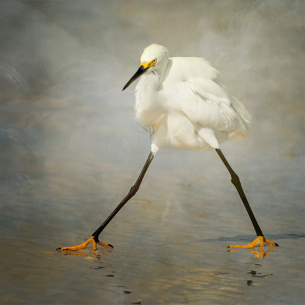 The Rock Star Poster