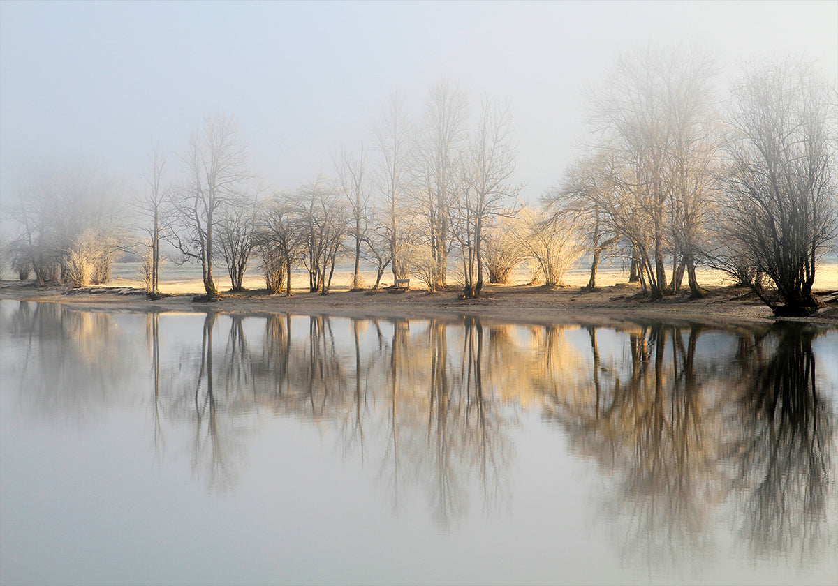 january morning  Poster