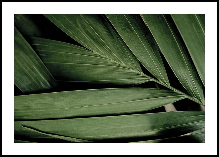 a close up of a large green leaf