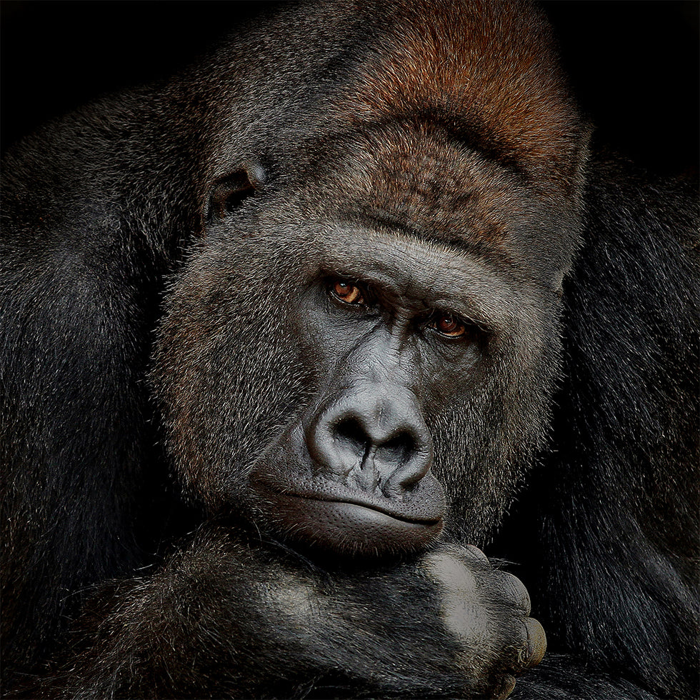 ONE MOMENT IN CONTACT Poster