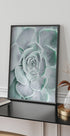 Flower Cactus Succulent Plakat - Posterbox.no