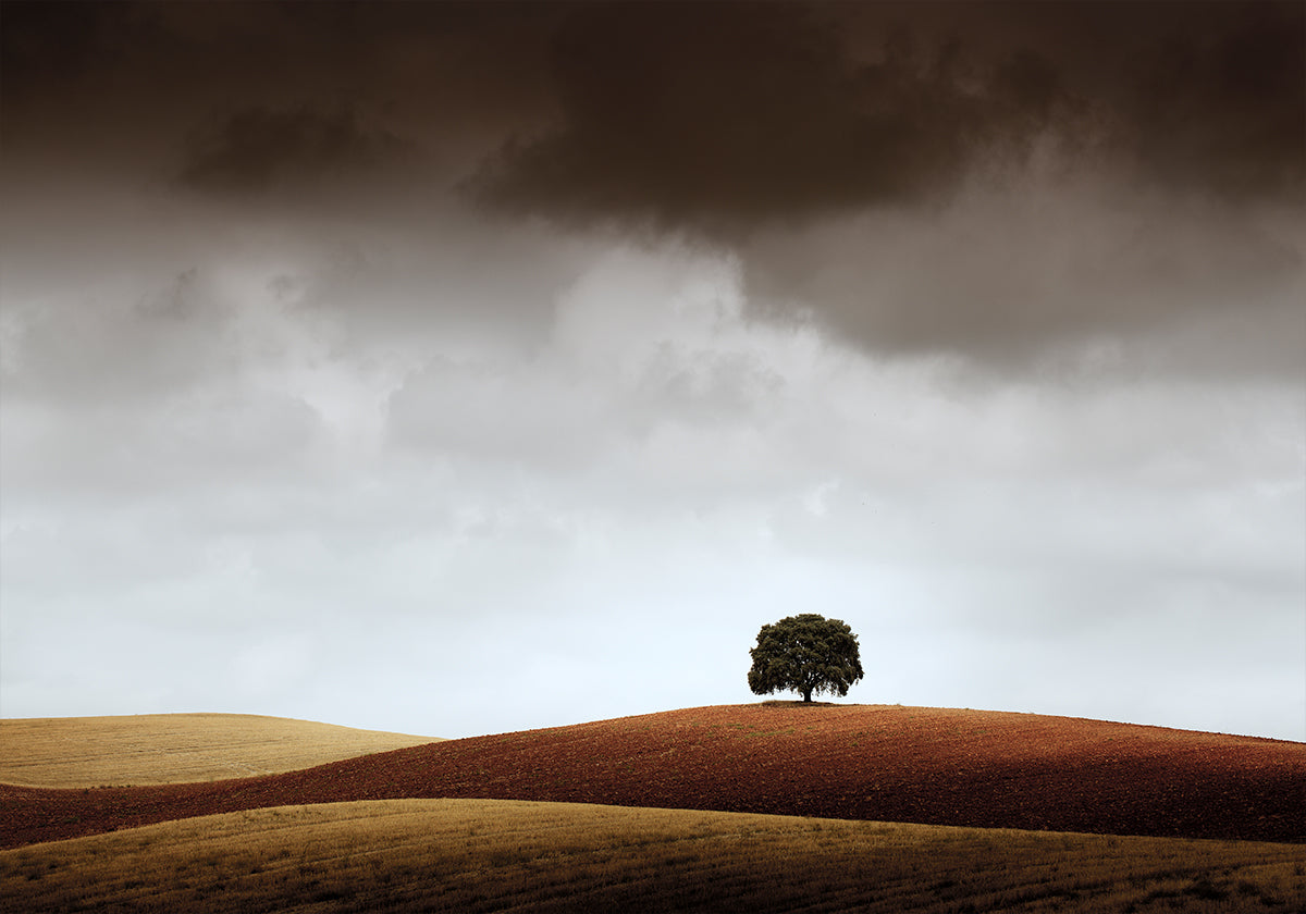 Tuve Que Pararme al Verla Poster