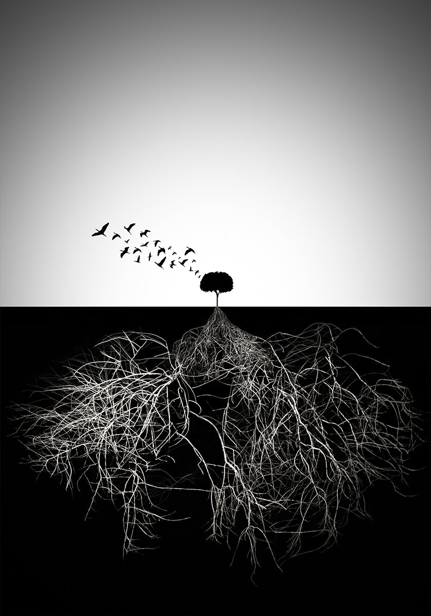 Do not judge according to appearance