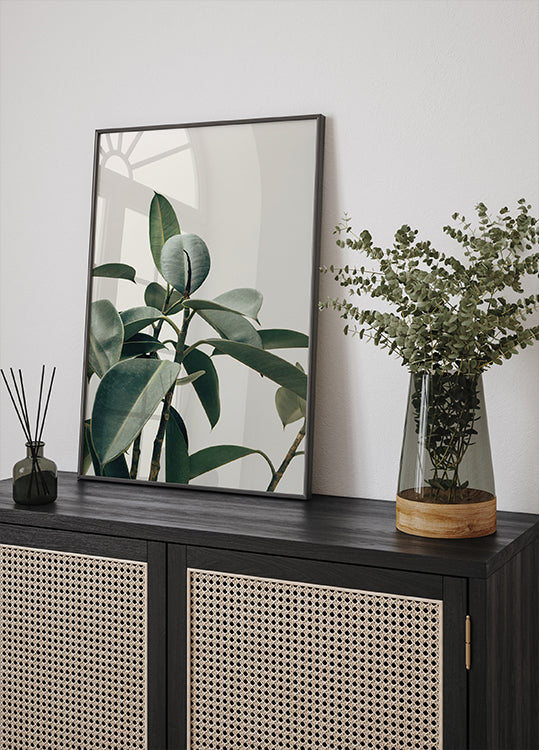 a picture of a plant and a vase on a shelf