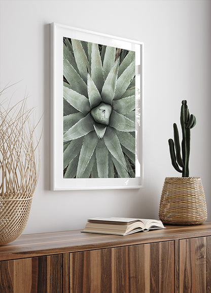 a picture of a plant in a frame on a wall