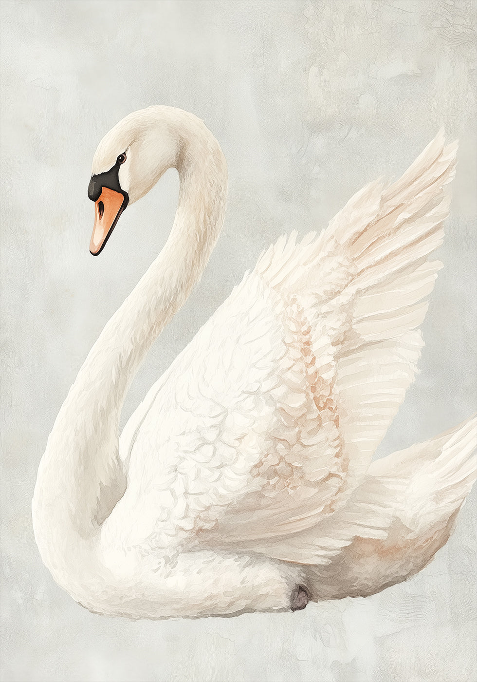 Elegant White Swan Poster