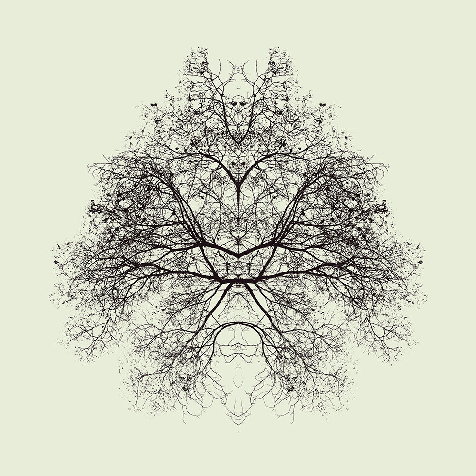 Rorschach Test Poster