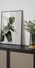 a picture of a plant and a vase on a shelf