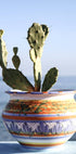 Succulent Vase Seaside Plakat - Posterbox.no
