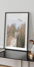 Seagull & Beach Grass Plakat - Posterbox.no