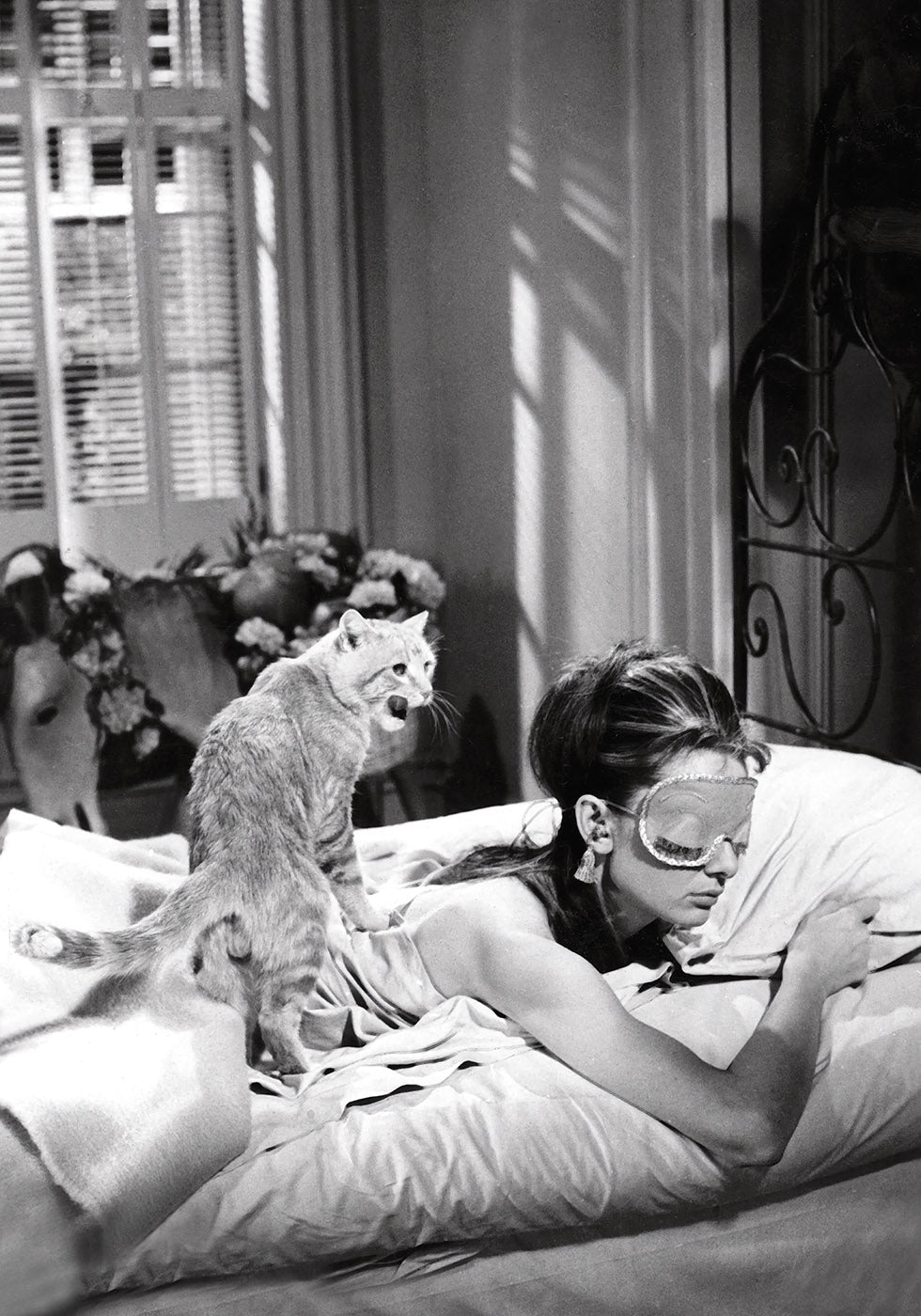 Audrey Hepburn Sleeping With Cat Poster