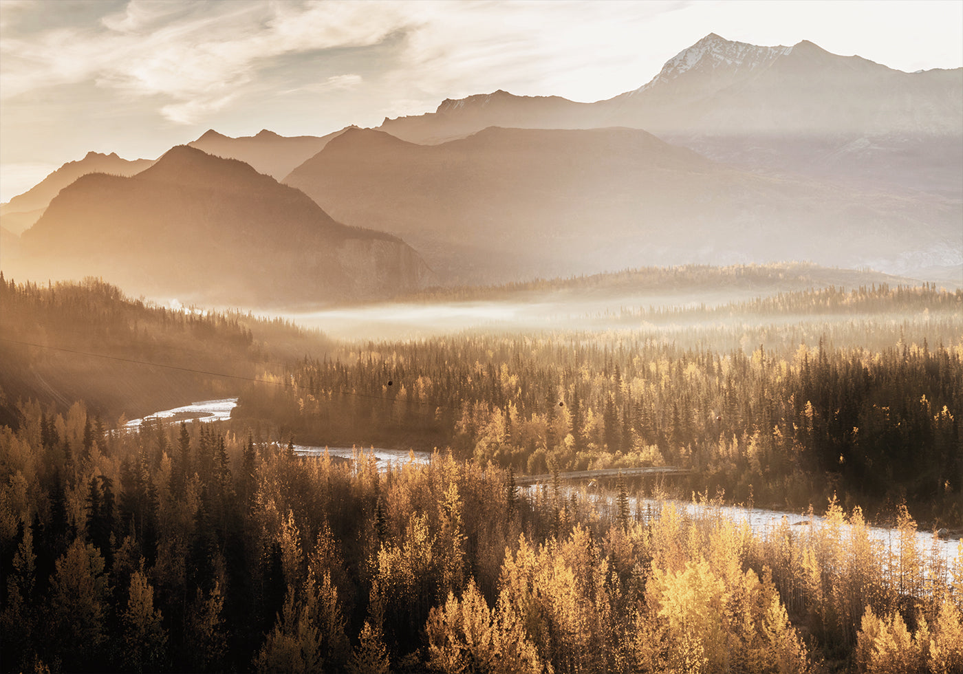 Golden Morning in the Valley Poster