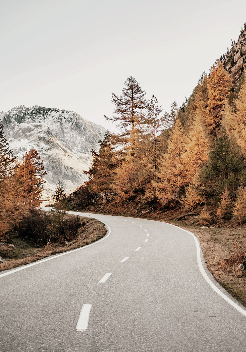 Autumn Mountain Road Poster