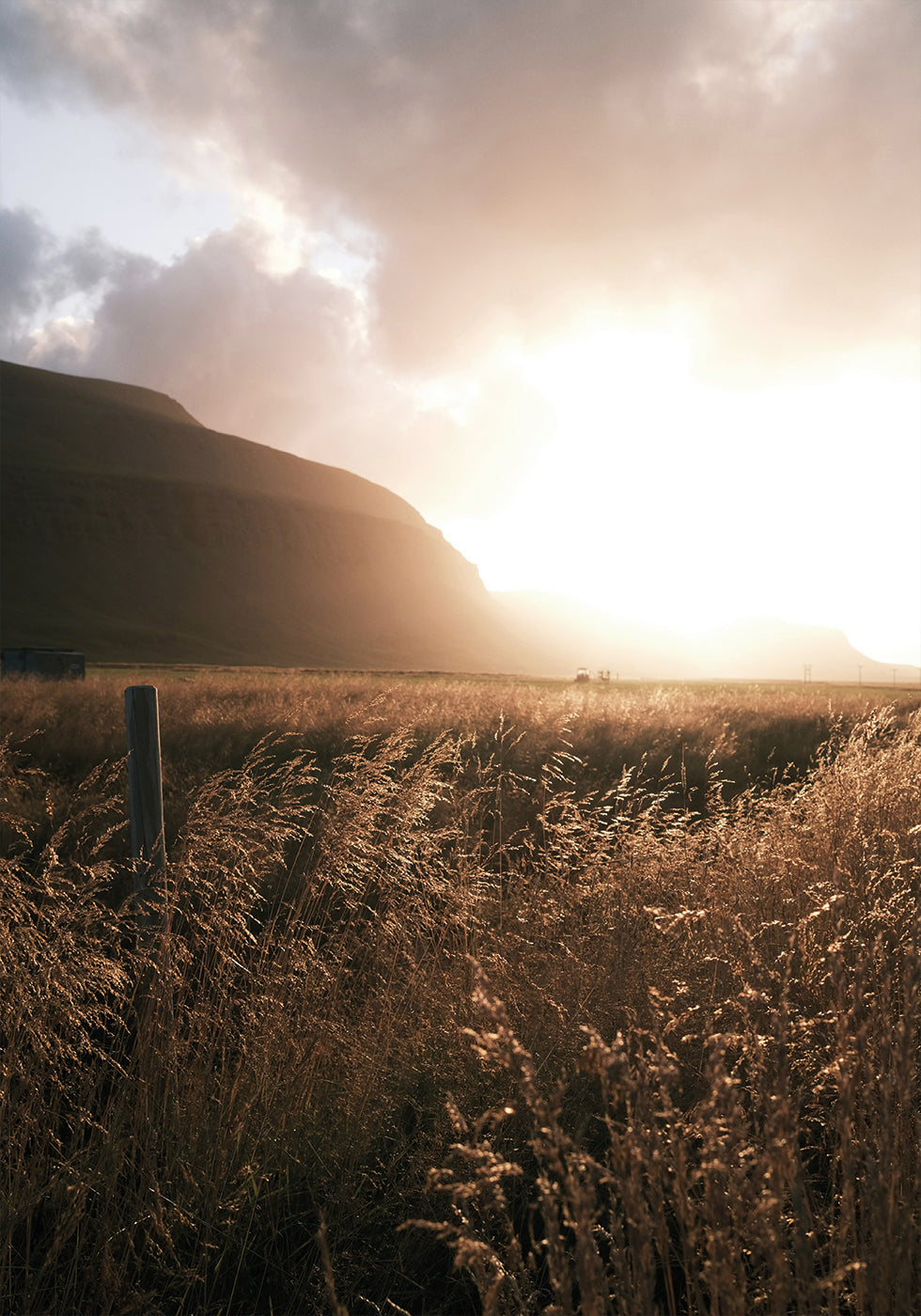 Autumn Sunset Over the Field Poster