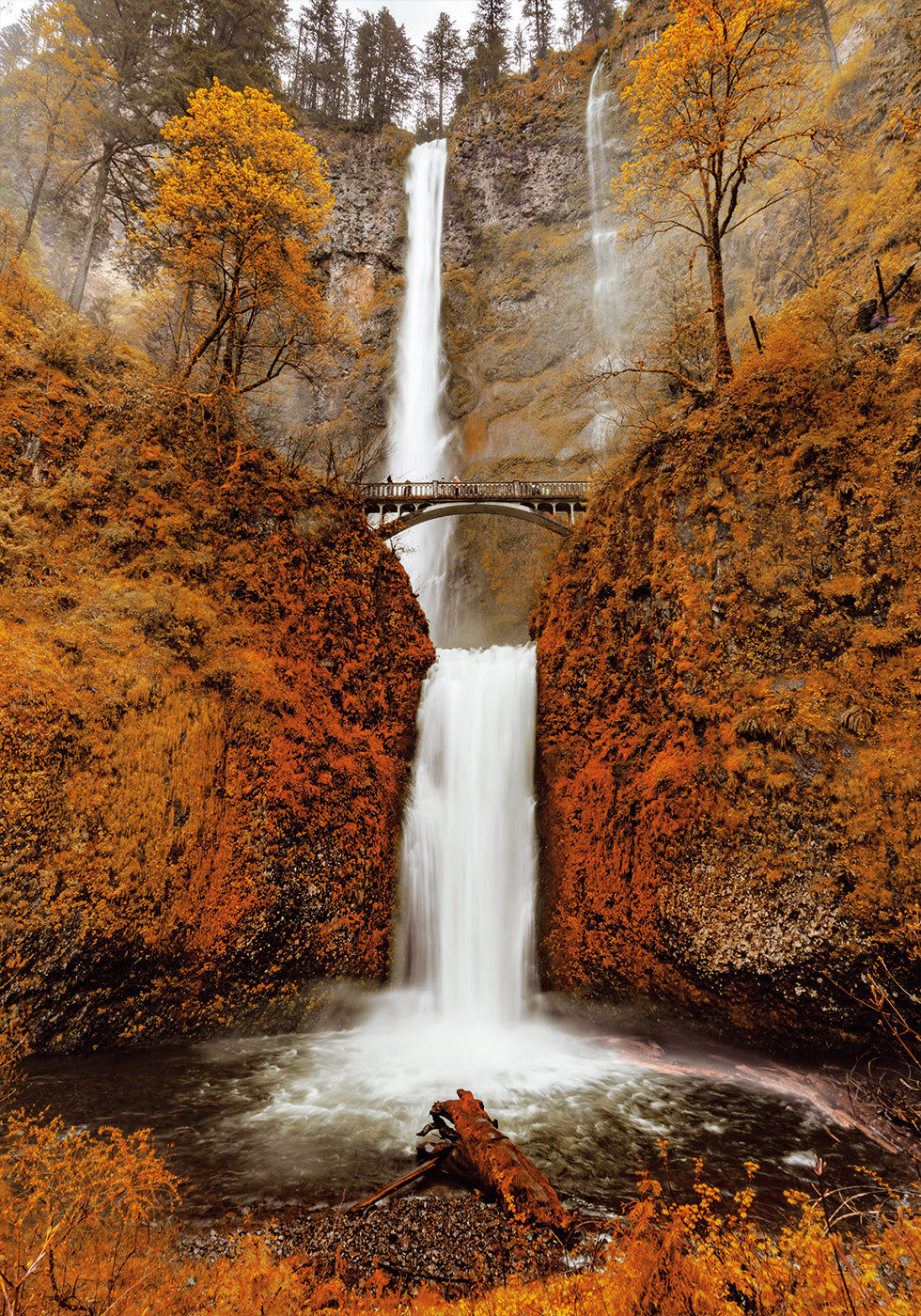 Autumn Waterfall in the Forest Poster