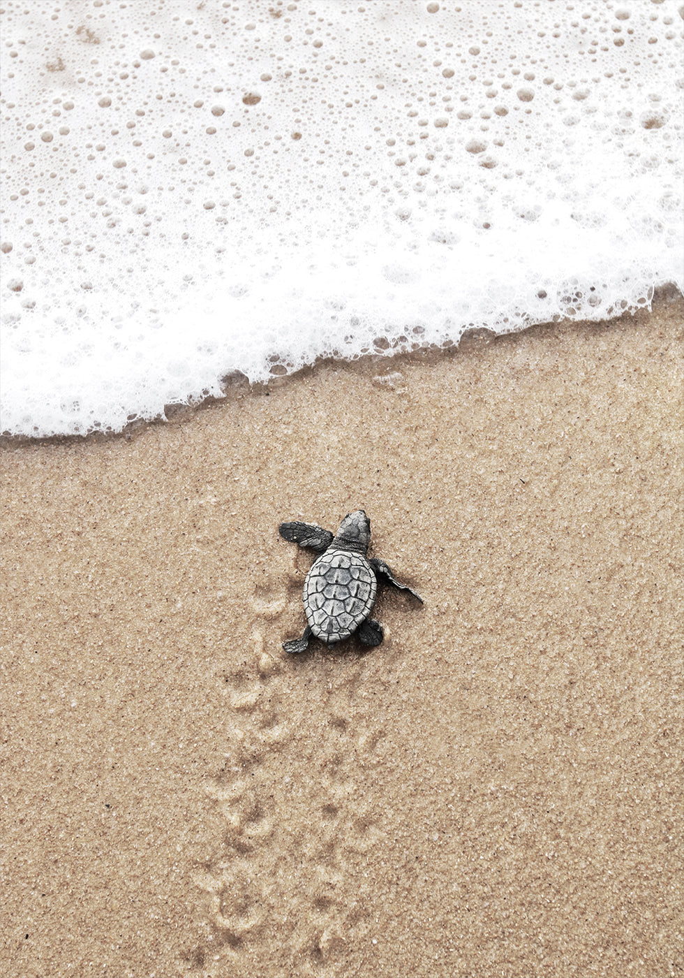 Baby Turtle Meets the Sea Poster