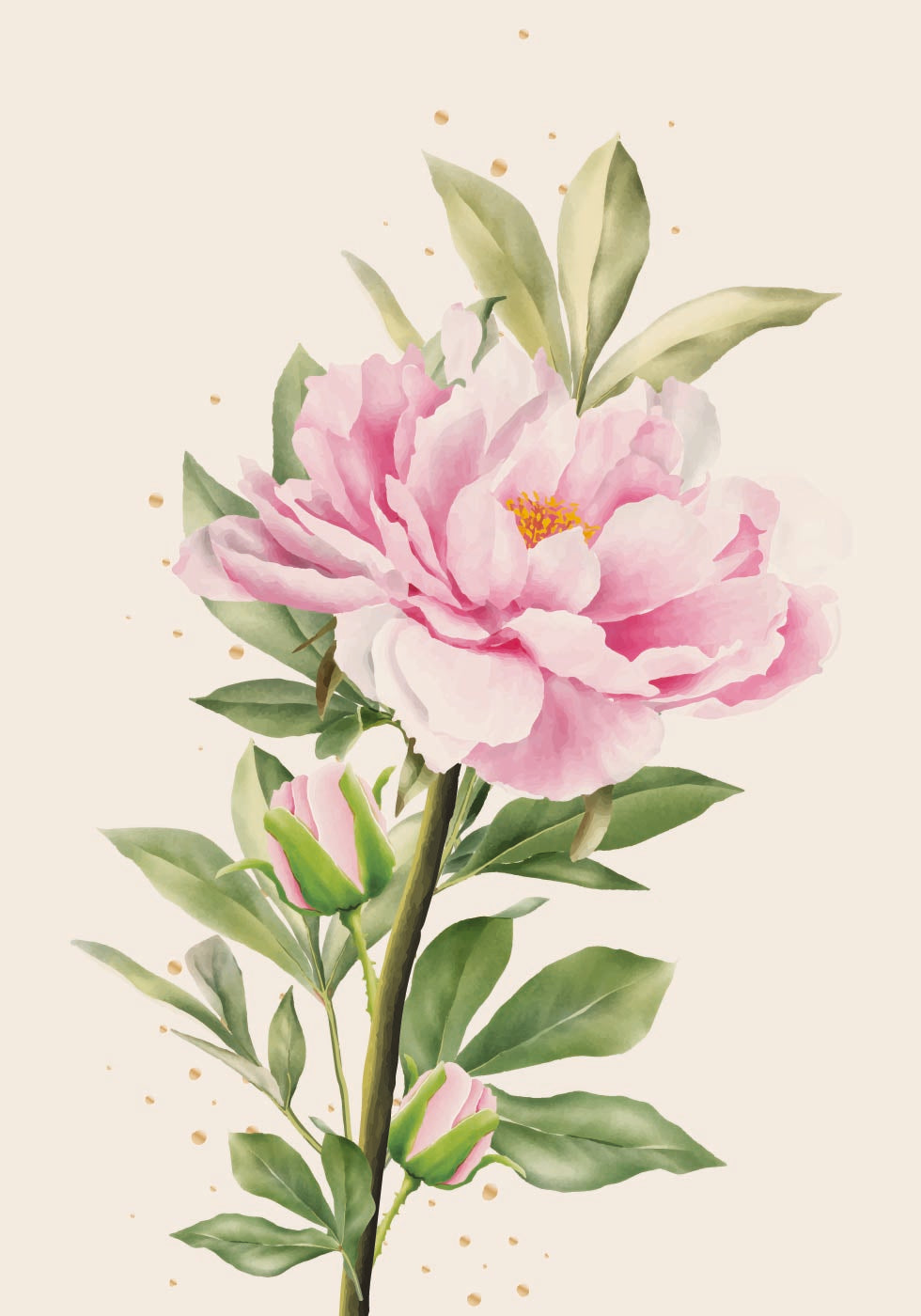 Blooming Peony Poster