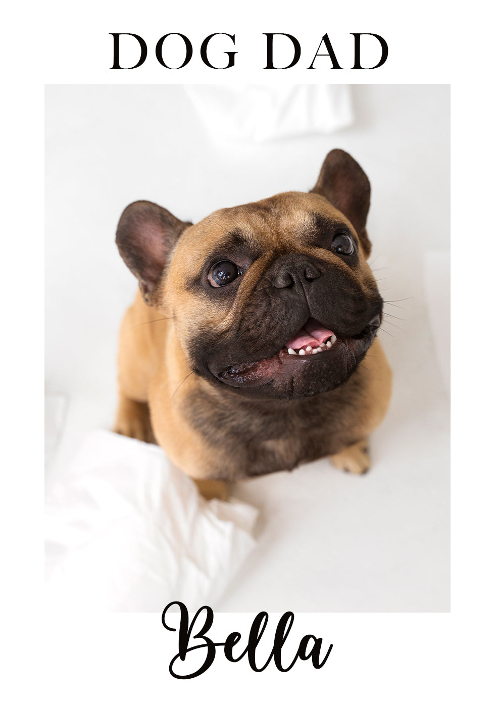Personalized Pet Poster