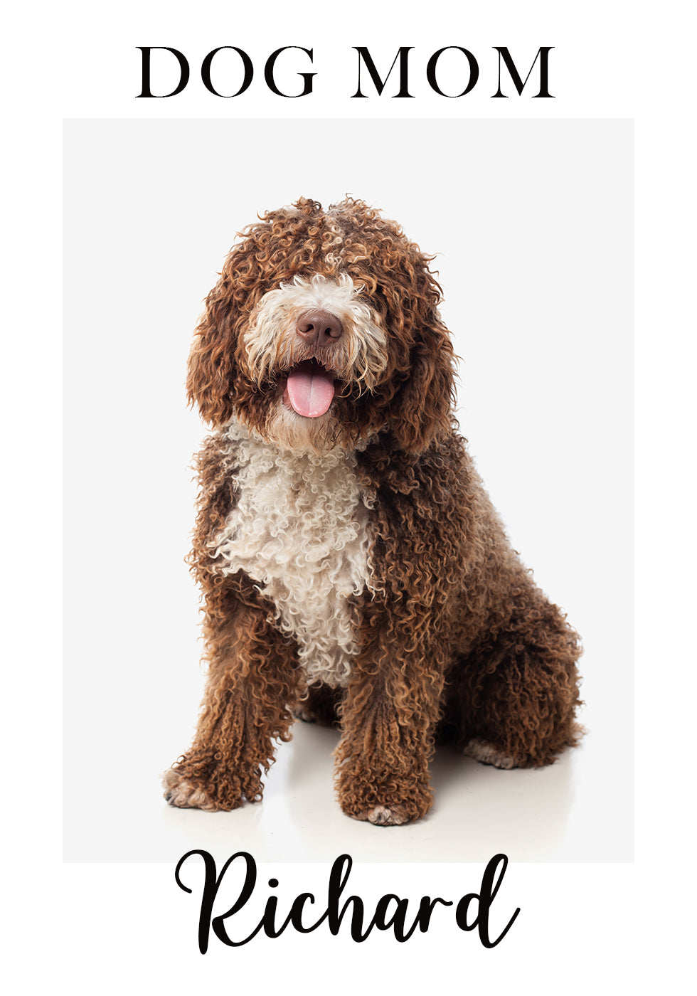 Personalized Pet Portrait Poster
