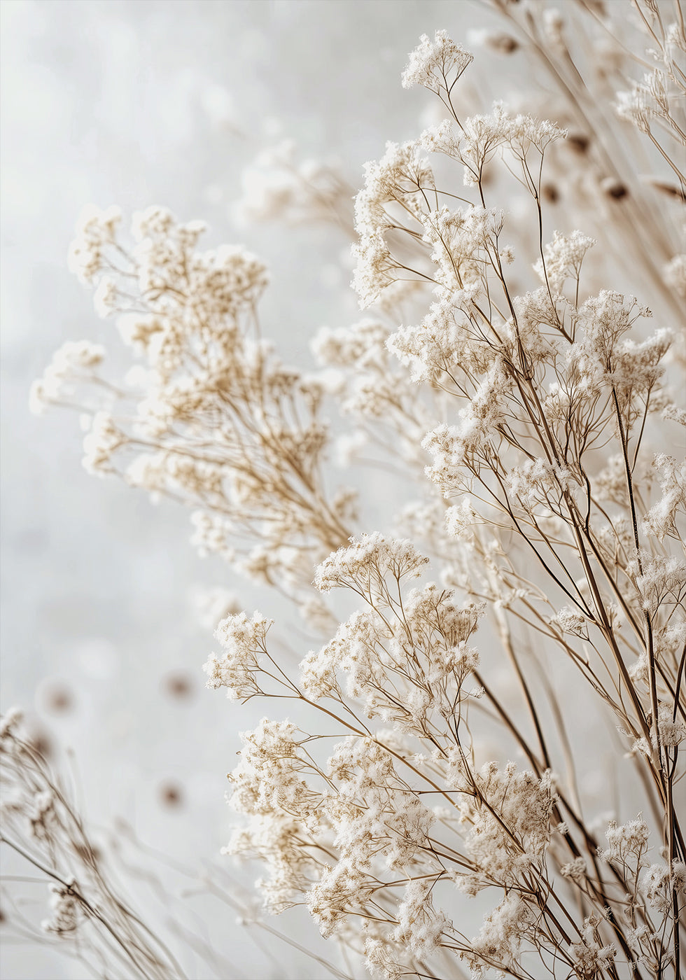 Soft Whispers of Dried Wildflowers in Light Tones Poster