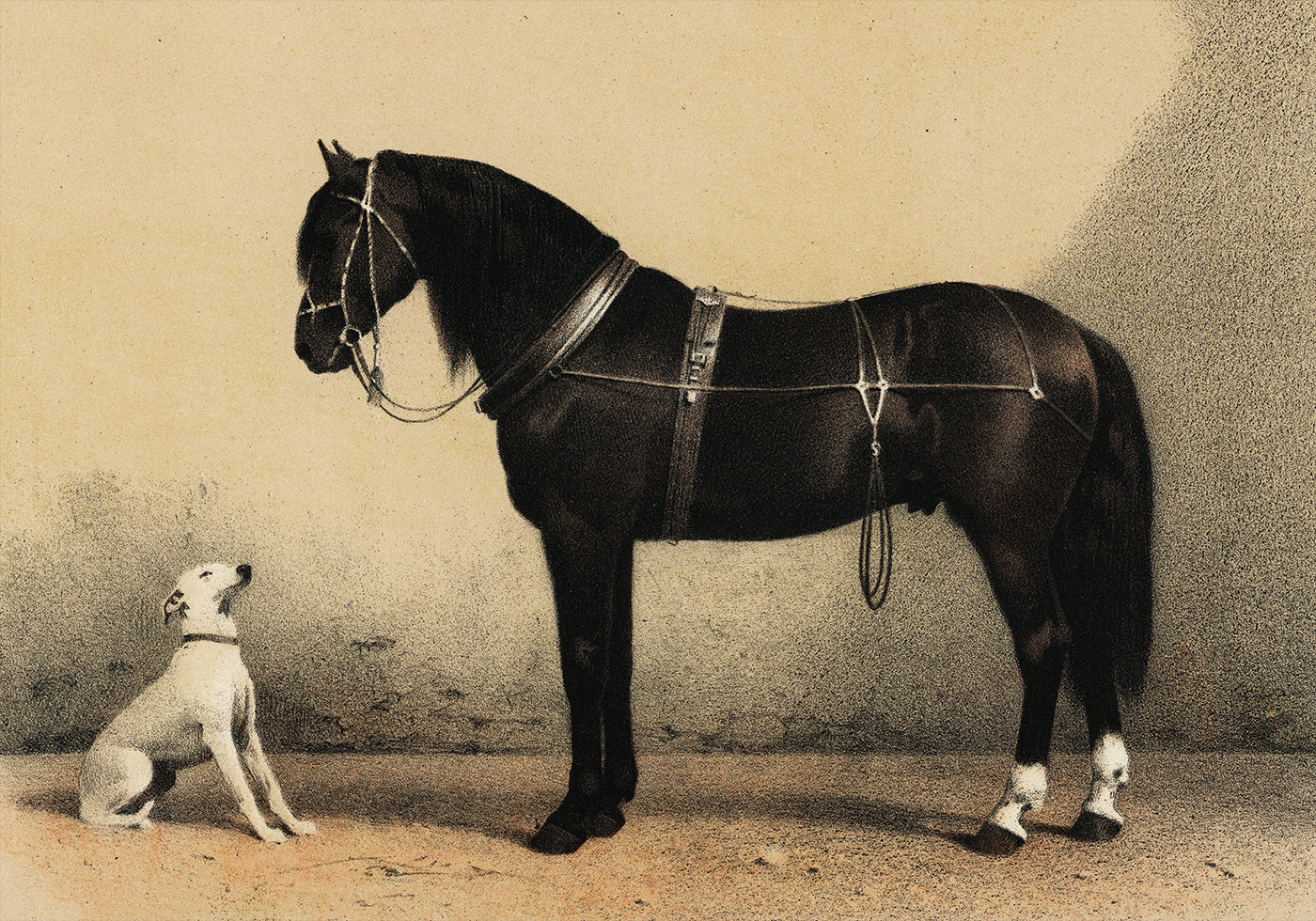 Emil Volkers - Orloffer Horse and Dog Poster