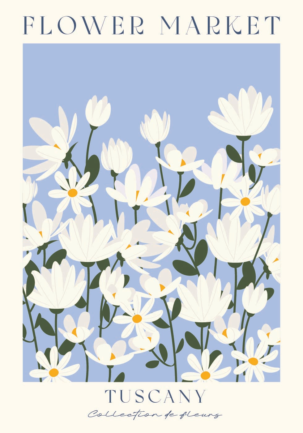 Flower Market, Tuscany daisy field Poster