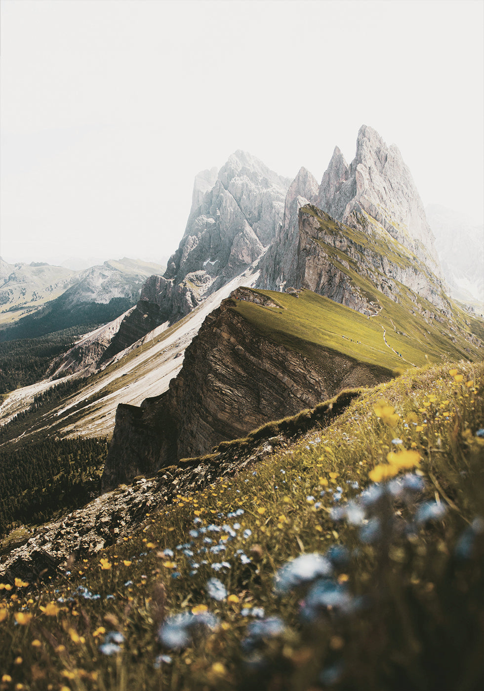 Flowers On The Mountain Poster